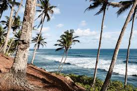 Tropical discovery collection