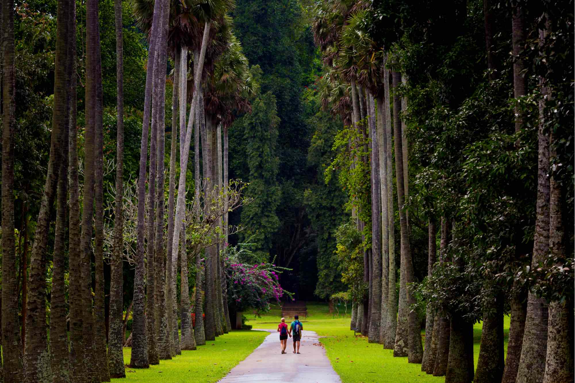 Scenic Sri Lanka collection