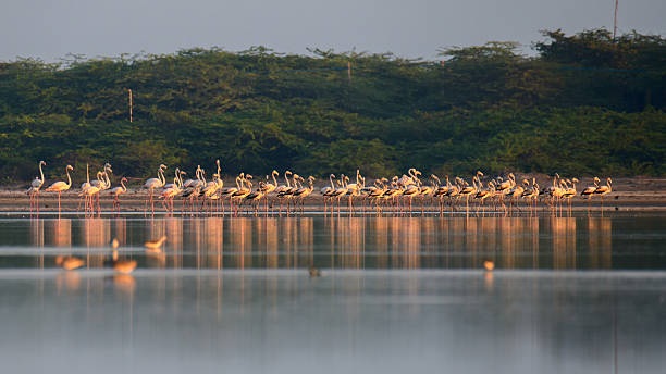 Ramayana tours