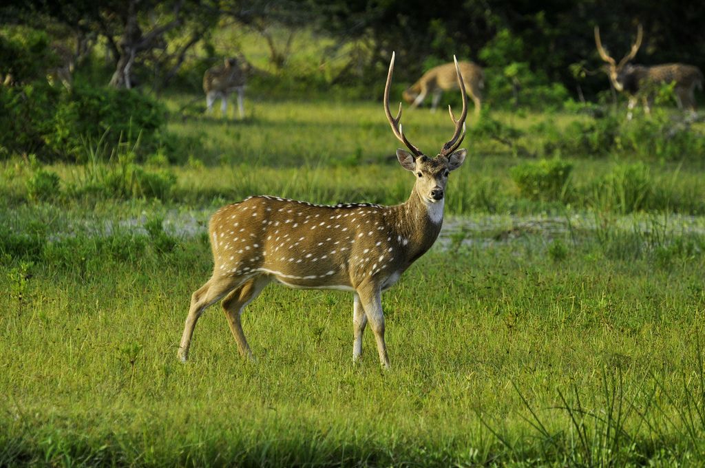 Ramayana tours