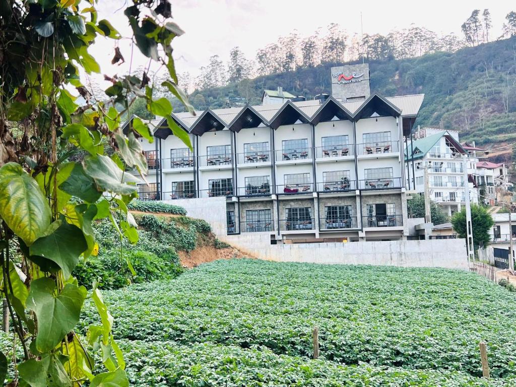 88 Nuwara Eliya