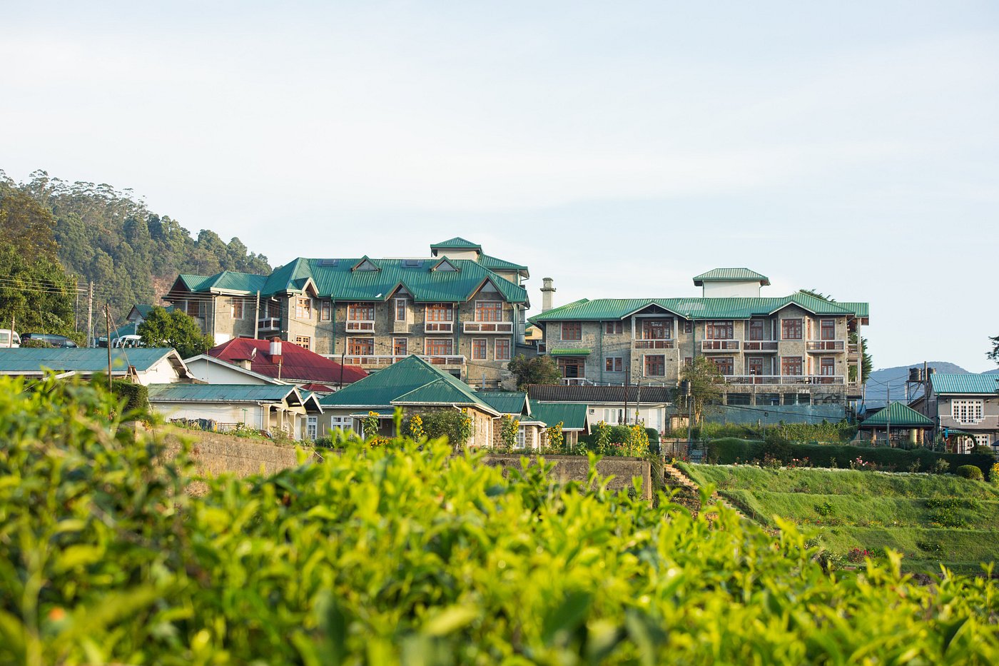 Heaven Seven -Nuwara Eliya